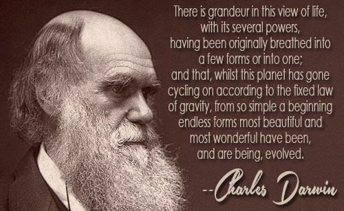 Charles Darwin quote